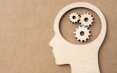 Adapting Executive Search for a Fast-Changing World: Insights from 20 Years in the Industry